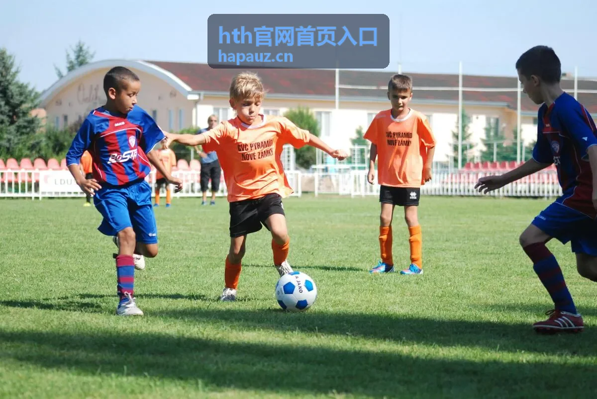 hth官网首页入口帮助中心常见问题答疑场景